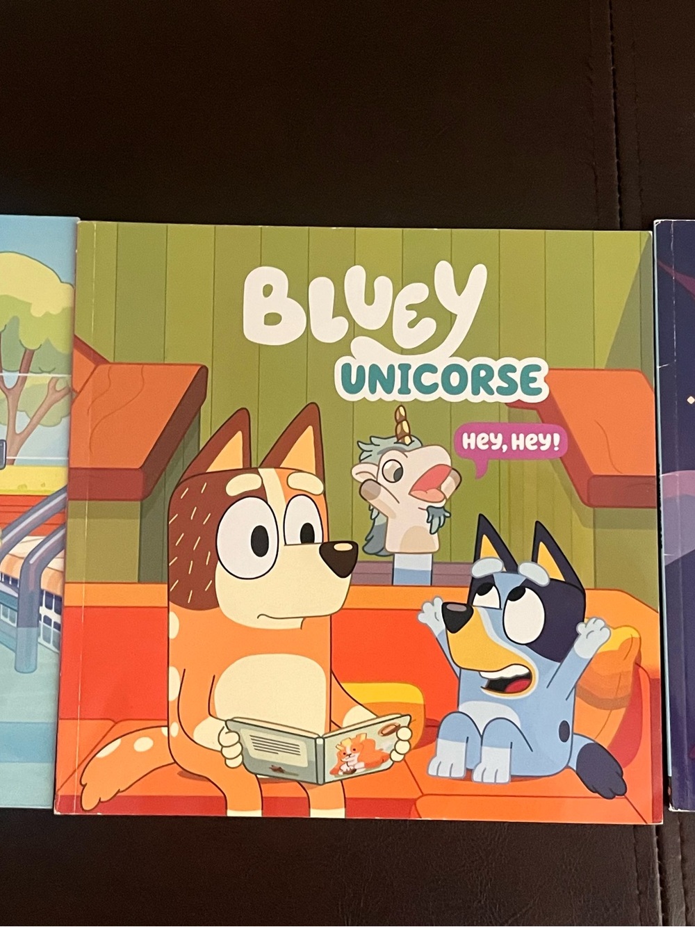 Bluey Paperback Books set of 3